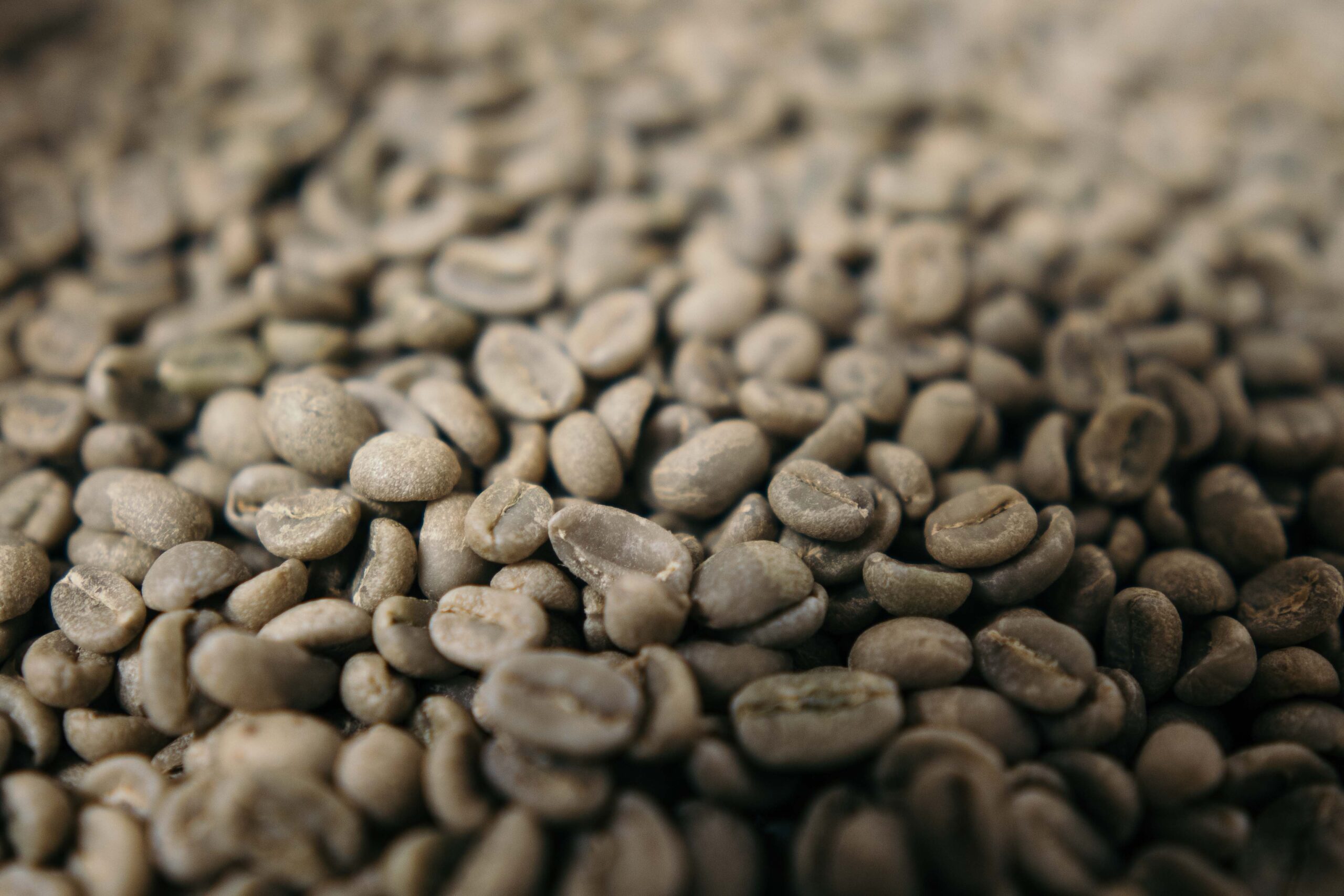 coffee beans 1